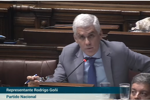 diputado Rodrigo Goñi