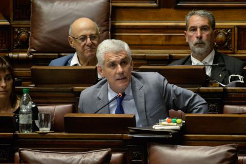 Diputado Rodrigo Goñi