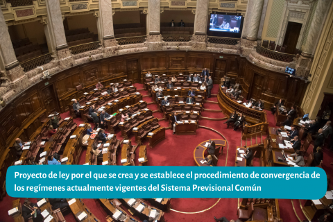 Sistema previsional común